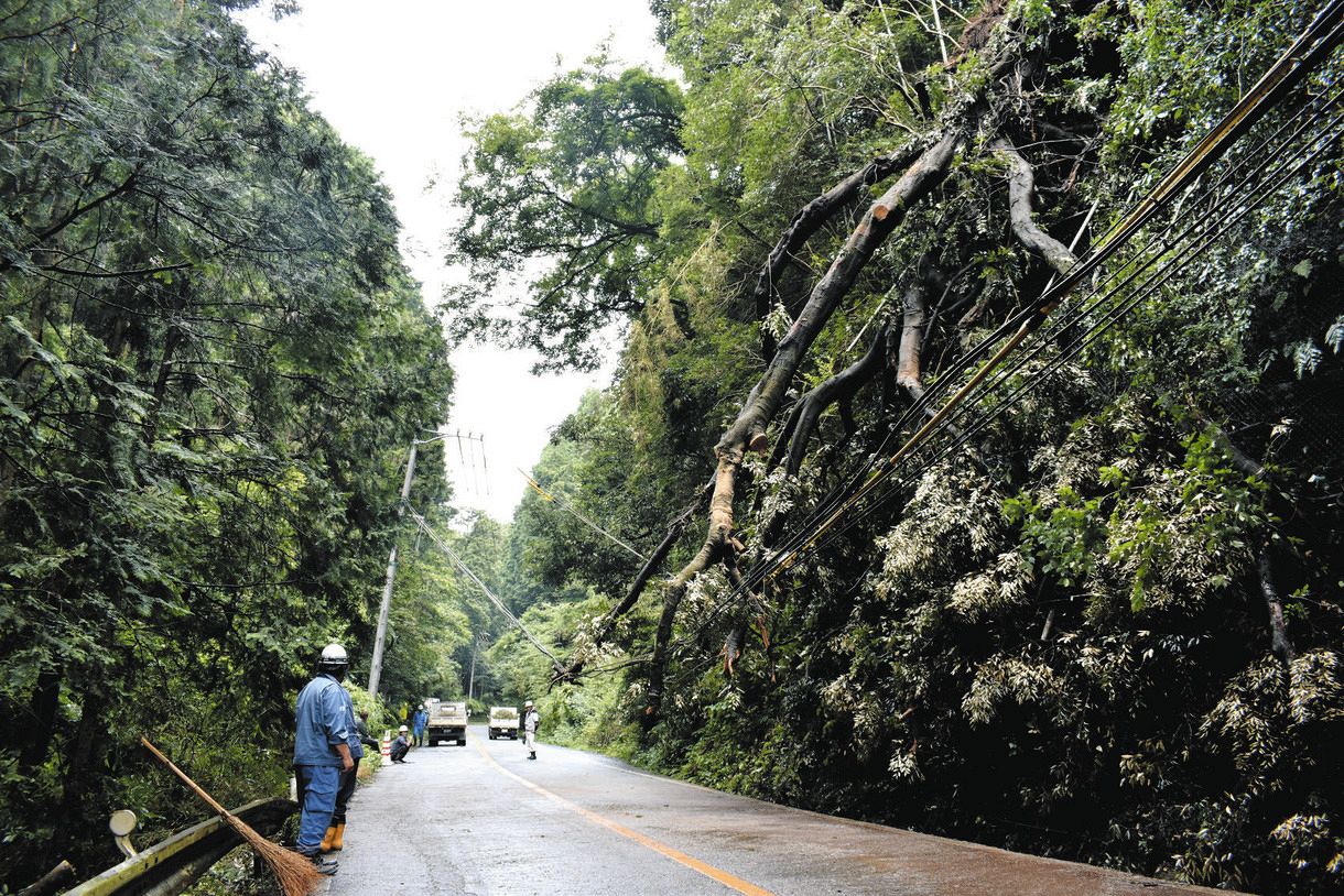 津市の国道163号に倒木、約12時間半にわたり一時通行止め：中日新聞Web