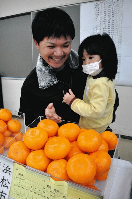 三ケ日みかん味、形上々 温州の部品評会で夏目さん初の最優秀：中日