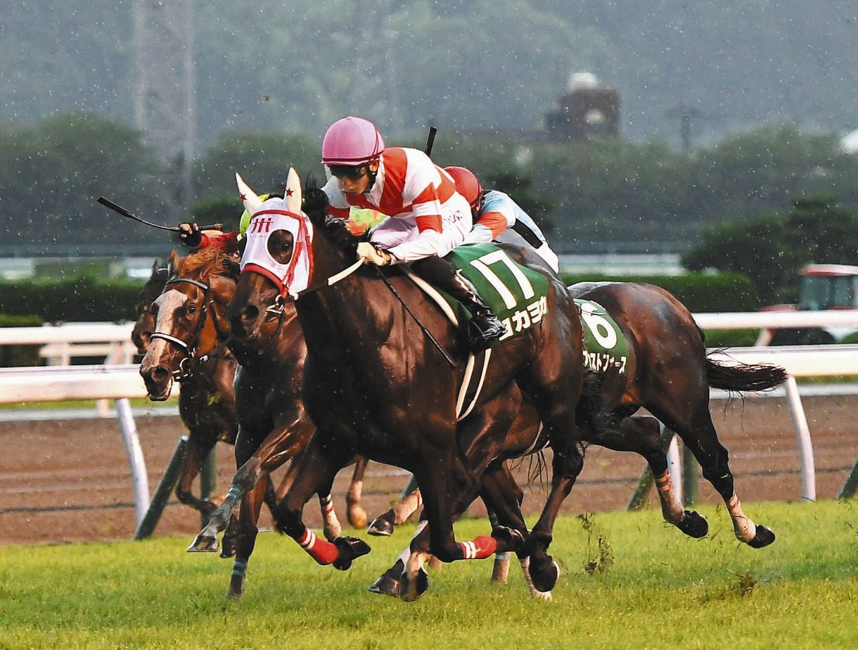 北九州記念 ヨカヨカ 熊本県産馬で史上初jra重賞制覇 中日スポーツ 東京中日スポーツ