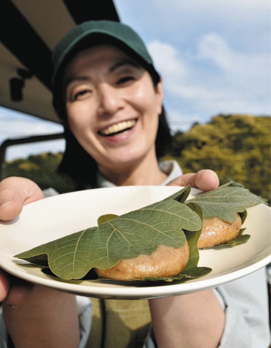 トチの実の柏餅いかが 水窪・小松屋製菓が土日祝の限定販売：中日新聞