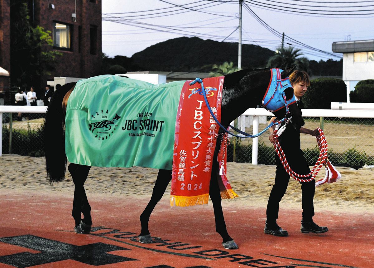 TAGANO BEAUTY JBC Sprint ジャージ 7歳タガノビューティー、38戦目のタイトルに「涙が出ました」管理する