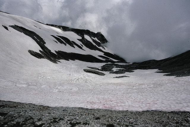 涼を感じて 2022夏＞立山「内蔵助氷河」：中日新聞Web