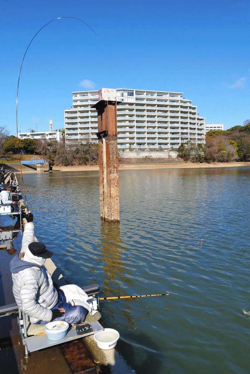 尺ベラに竿弓なり 名古屋市千種区・猫ケ洞池：中日スポーツ・東京中日スポーツ