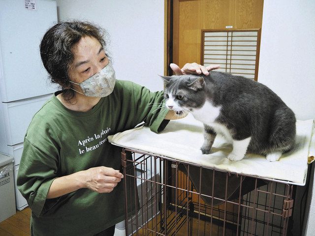 動物と共に地域で生きる 障害者めぐり広がる取り組み 中日新聞web