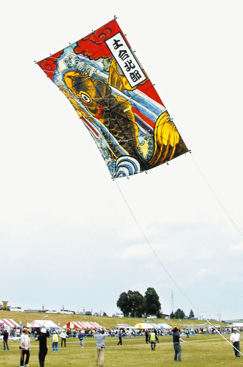 大凧 大凧競演、逆風に阻まれ 相模原・座間 ／神奈川 | 毎日新聞