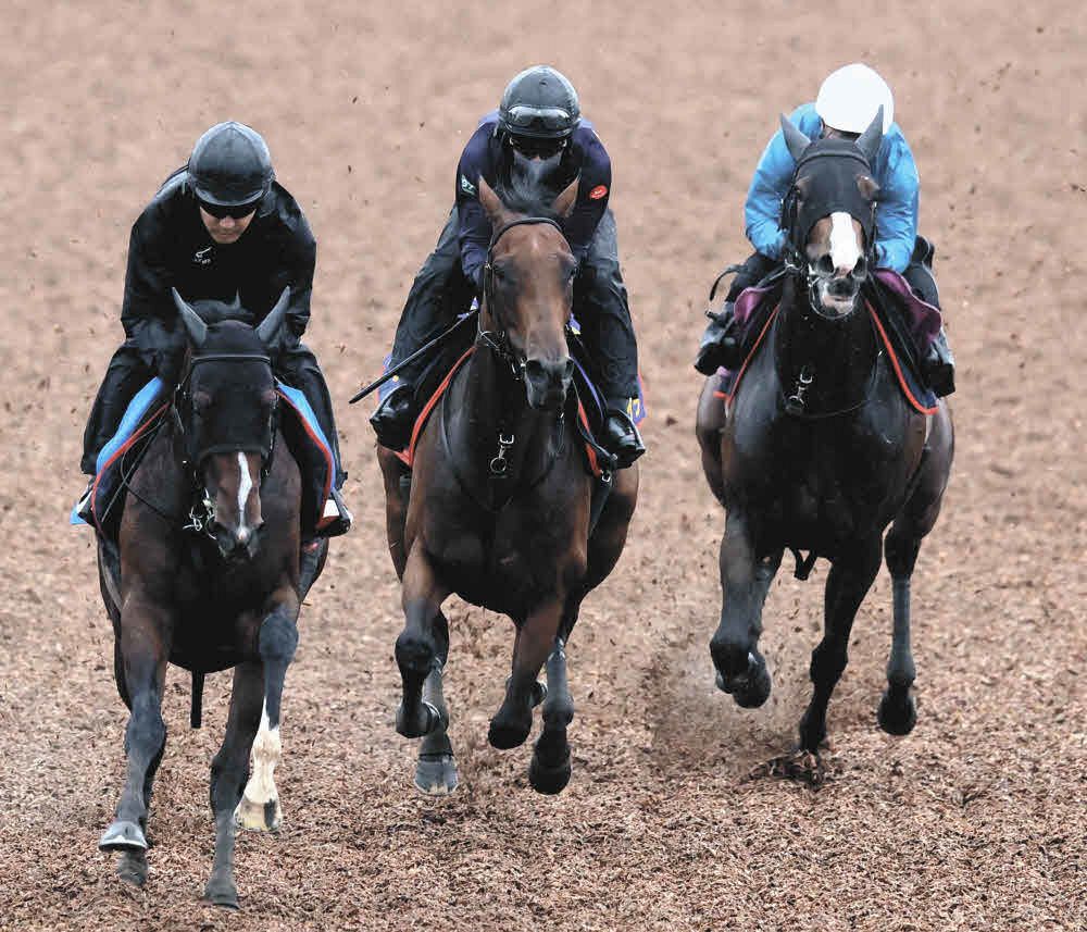 レガレイラ 新馬戦 単勝1・4倍レガレイラが1馬身半差でデビュー勝ち「最後はいい瞬発力