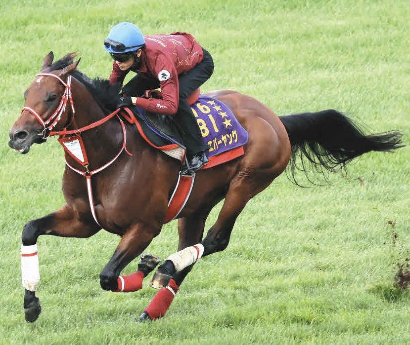 ジョッキークラブゴールドC】ネット馬券（即PAT）のみで発売