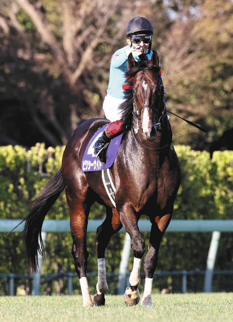 ピクシーナイトが骨折 4コーナーで1頭の落馬に巻き込まれ【香港