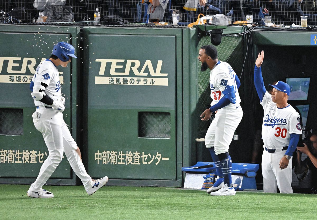 ひまわりの種　ジャイアンツ　大谷翔平　ドジャース ひまわりの種 163g GIANTS 大谷翔平 ドジャース - メルカリ