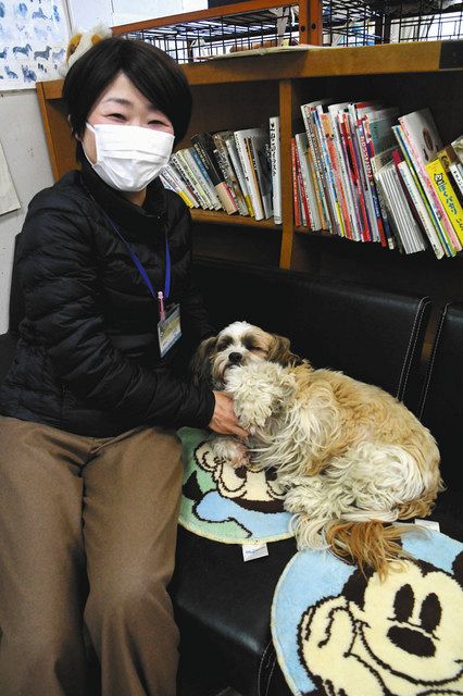 静岡市動物愛護館 触れ合って知る 癒やしと安らぎ 中日新聞しずおかweb