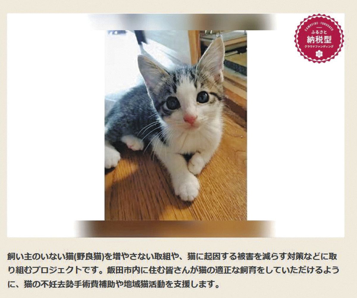ネコの殺処分ゼロ目指す 飯田市、不妊去勢手術費をCFで寄付募る：中日