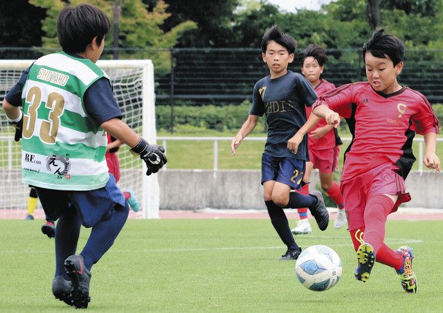 リブラ五個荘ｆｃが優勝 東近江で少年サッカー大会 中日新聞web