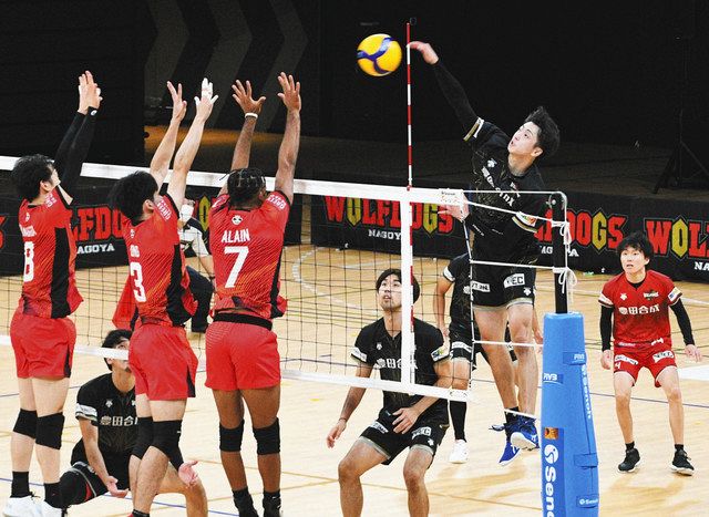 豊田合成 ウルフドックス名古屋 バレーボール 短パン