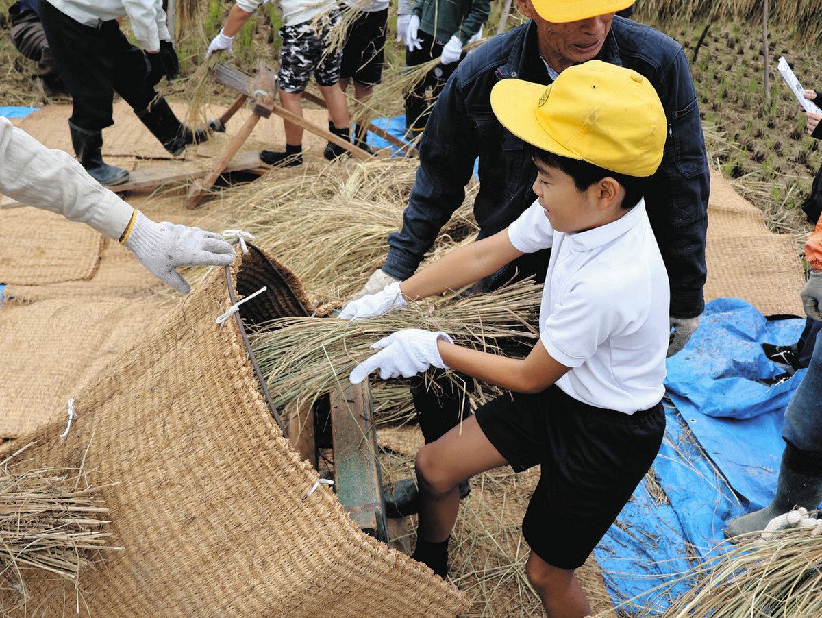 ドラムぐるぐる、面白い！ 半田で小5年生が足踏み脱穀機体験：中日新聞Web