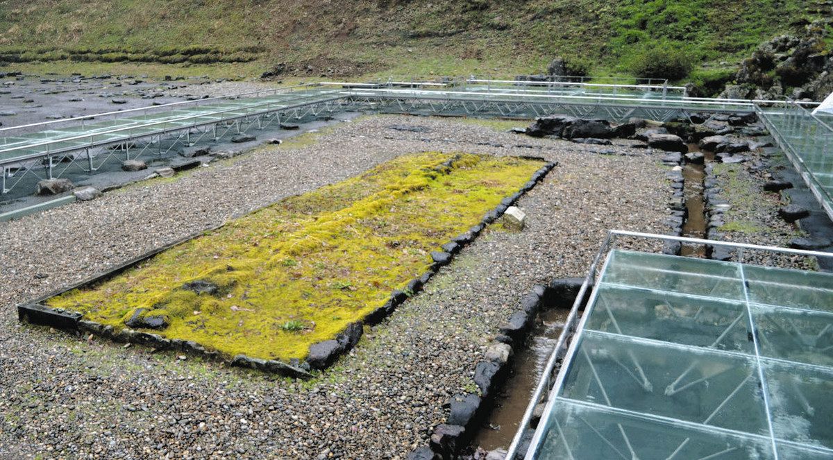 一乗谷朝倉氏遺跡の「朝倉館跡」特設鑑賞スポットが完成 全国初の