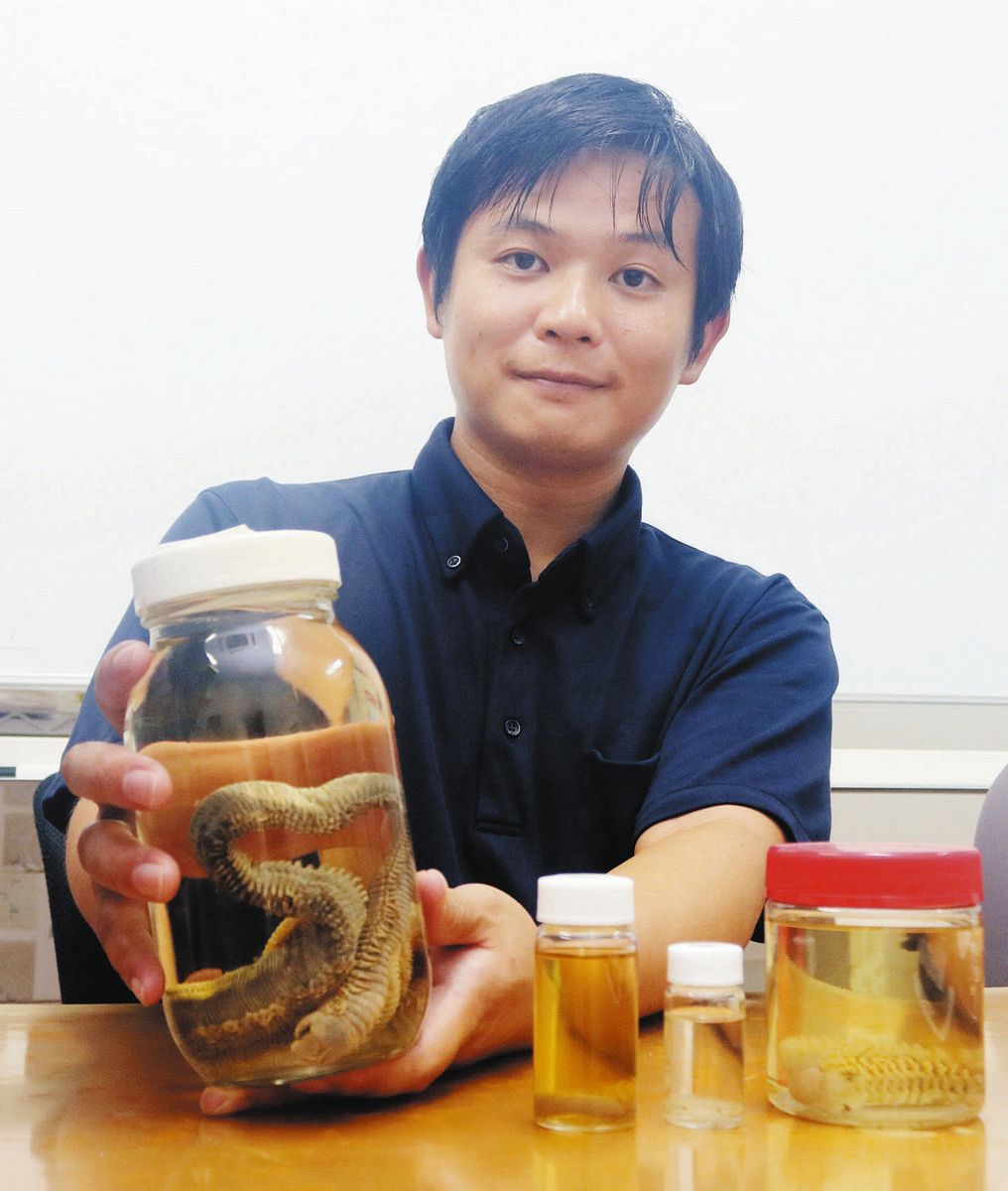 ミズヒキゴカイ」の新種10種を発見 日本一周して採集、原動力は子ども