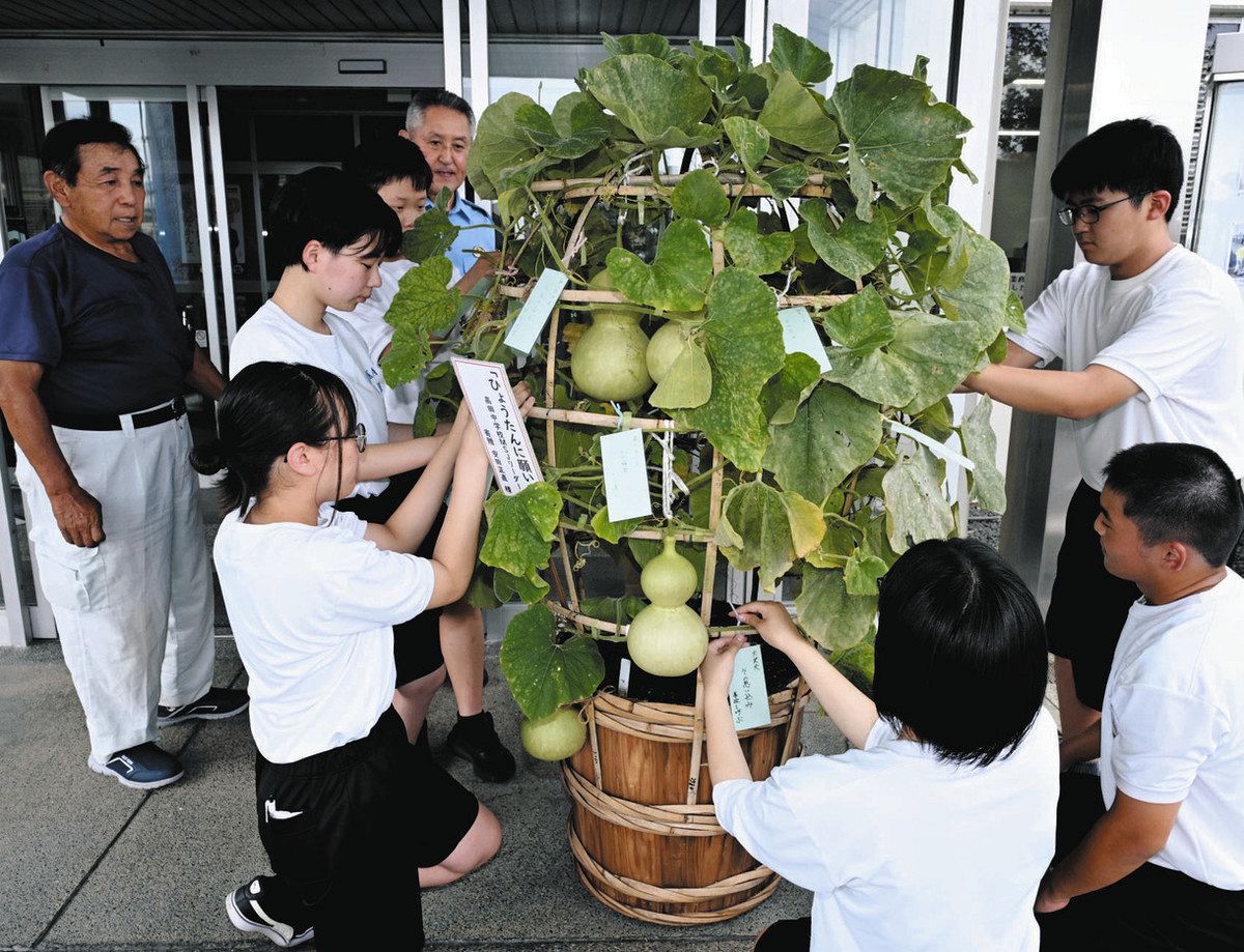 ひょうたんに願いを」 岐阜・養老署で高田中学校生徒がヒョウタンに