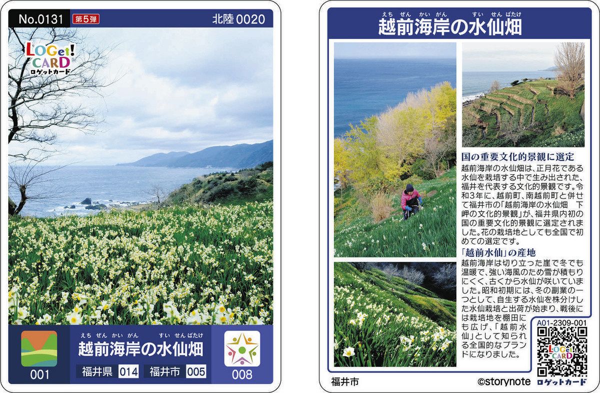 一乗谷城」など福井市の4カ所追加 県内ロゲットカード：中日新聞Web