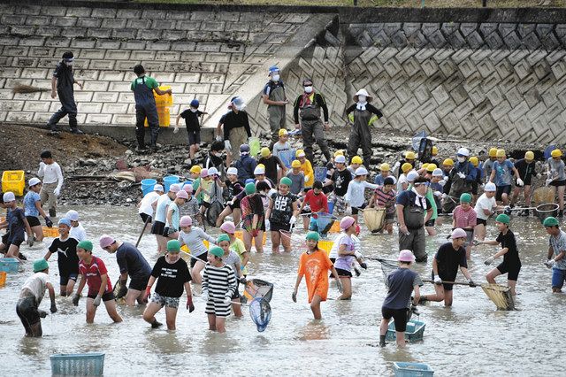 ため池水抜いて生き物捕獲 半田で児童ら清掃活動 中日新聞web