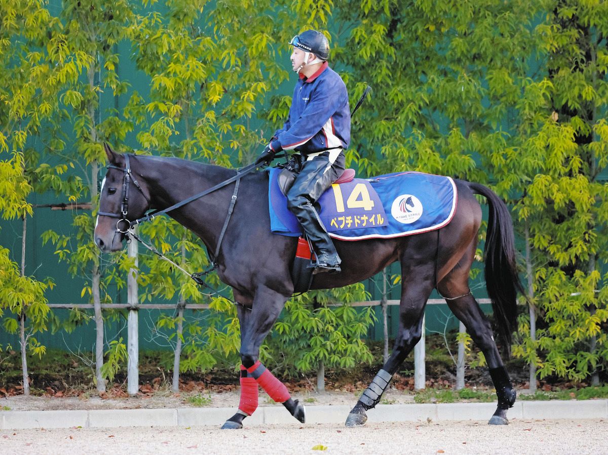 武蔵野S追い切り】ペプチドナイル2頭併せで2馬身半追走し首差遅れる