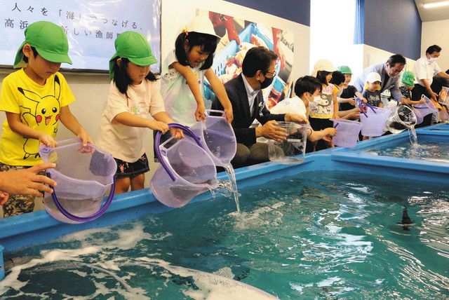 水槽に魚を投入する園児ら＝高浜町のＵＭＩＫＡＲＡで 