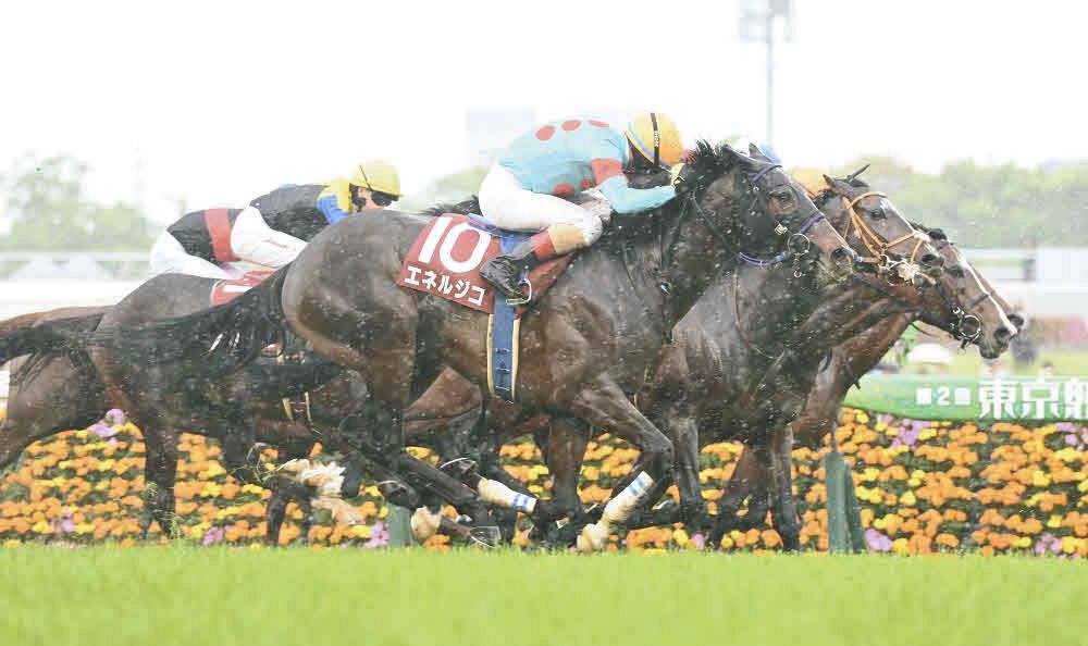 今年の青葉賞を勝利したエネルジコは無念の出走断念となった