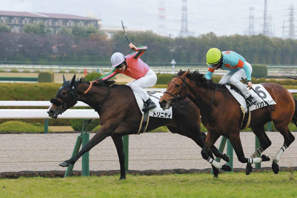 阪神5R新馬】5番人気トリニティが粘り腰を披露し逃げ切り勝ち ルメール