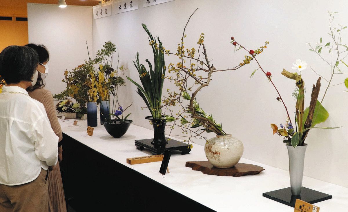 県内12流派の会員ら秋風情の生け花展 岐阜で始まる：中日新聞Web