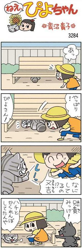 ねえ、ぴよちゃん：中日新聞Web