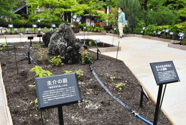植物学の先駆者照らす 没後120年 名古屋生まれ伊藤圭介：中日