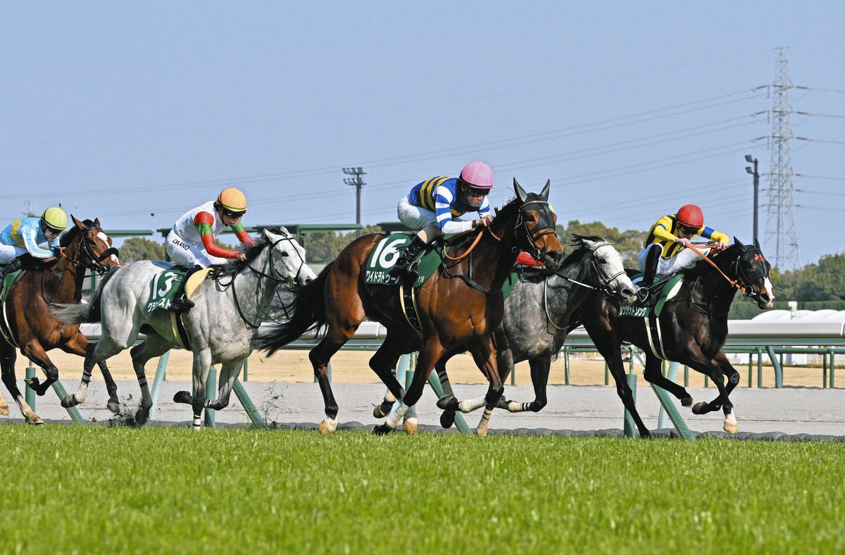 １１Ｒ愛知杯を制した北村友一騎乗のワイドラトゥール（中央）