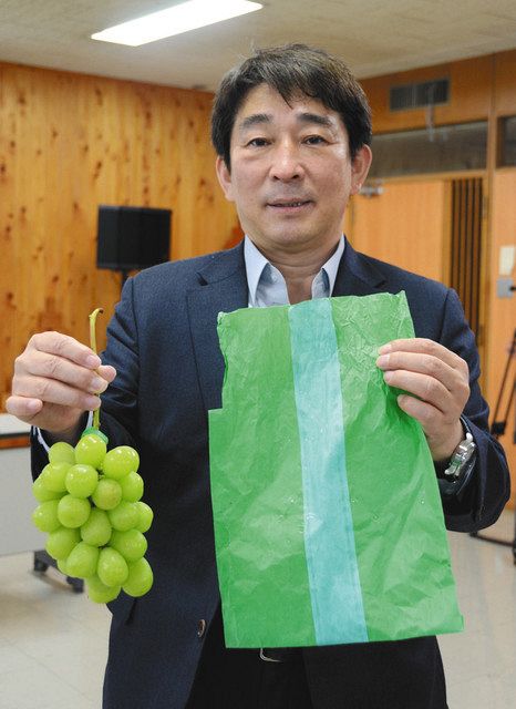 ナノファイバーで果実袋 紙製よりもブドウ甘く粒大きく：中日新聞Web