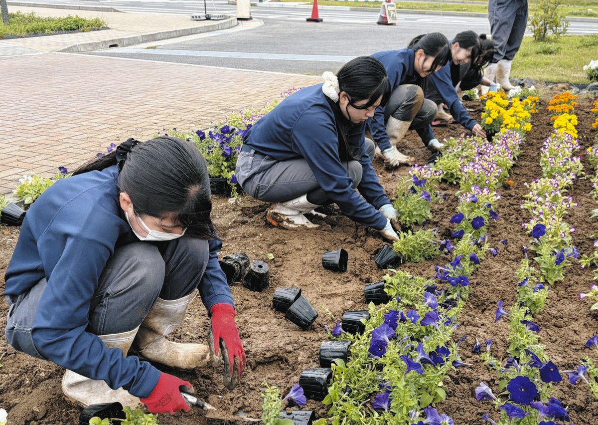 中部国際医療センターに「虹色」花壇お目見え 加茂農林高生が植栽：中