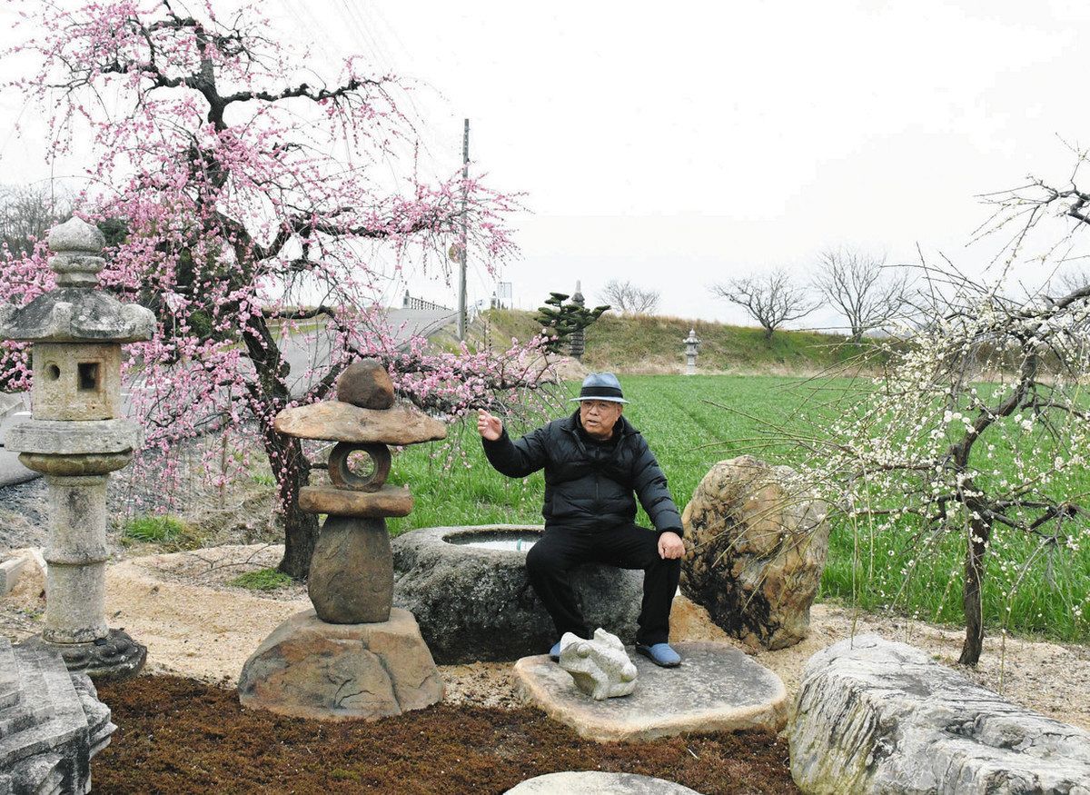 田園に灯籠と鮮やかなウメ 近江八幡・蔵立さんが造園：中日新聞Web