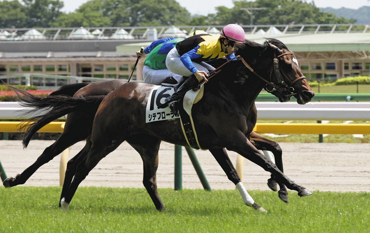 ディープインパクト産駒が史上最速!JRA通算2400勝！東京5Rでシテ