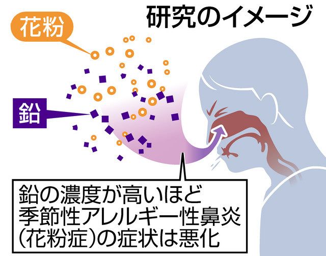 鉛の濃度で花粉症悪化 大気中の粒子が鼻の奥へ 日刊県民福井web 鉛の濃度で花粉症悪化 大気中の粒子が鼻の奥へ 日刊県民福井web