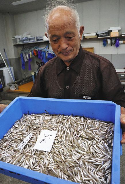 ワカサギ脂乗り 数は十分 諏訪湖で投網漁が解禁 中日新聞web