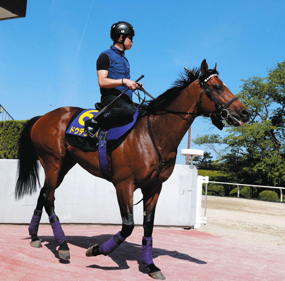 宝塚記念】武豊「いつものこの馬の競馬をしたんだけど…道悪の