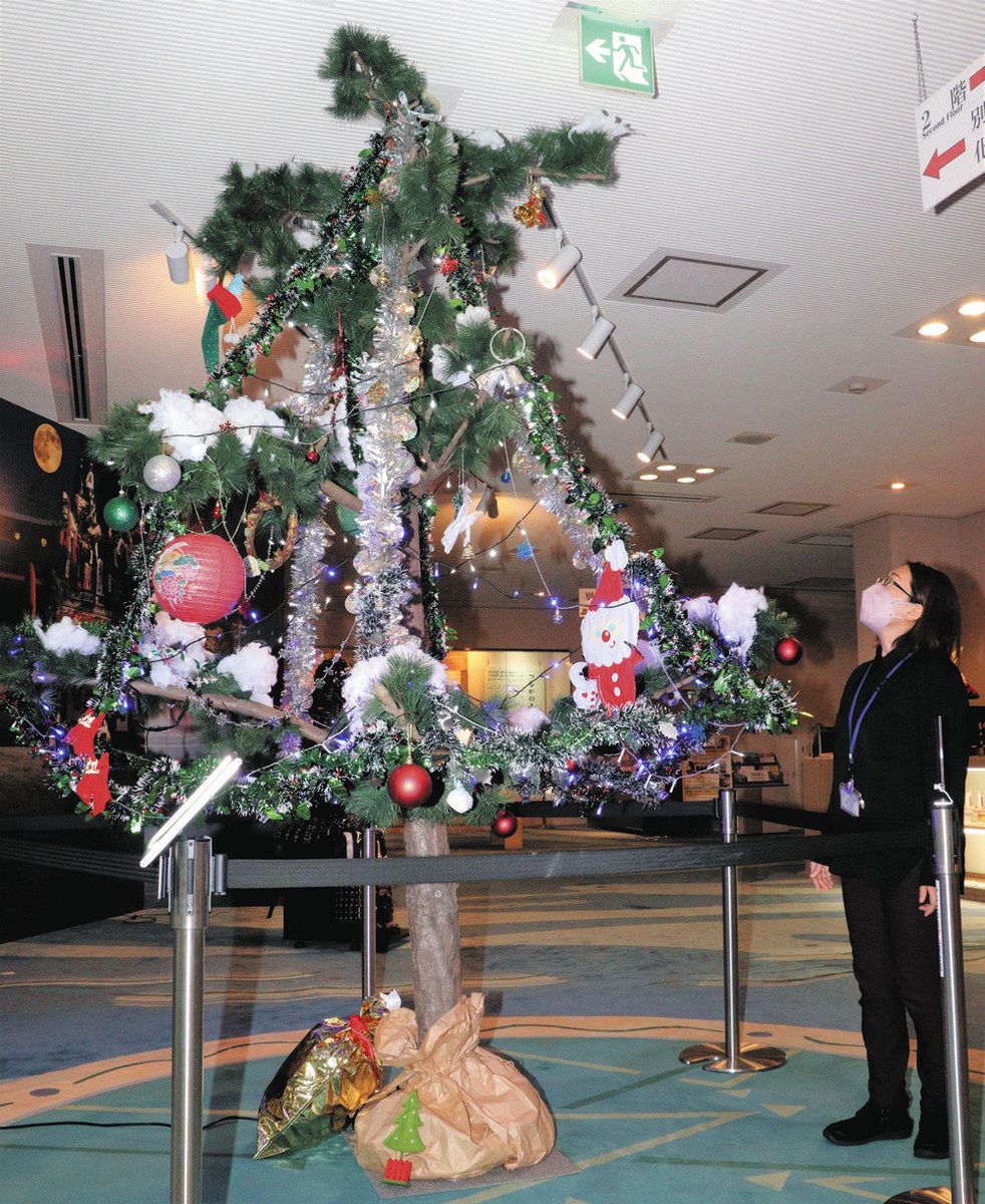 舞台座松の木が「雪つり」ツリーに 敦賀・山車会館ロビーで展示：中日