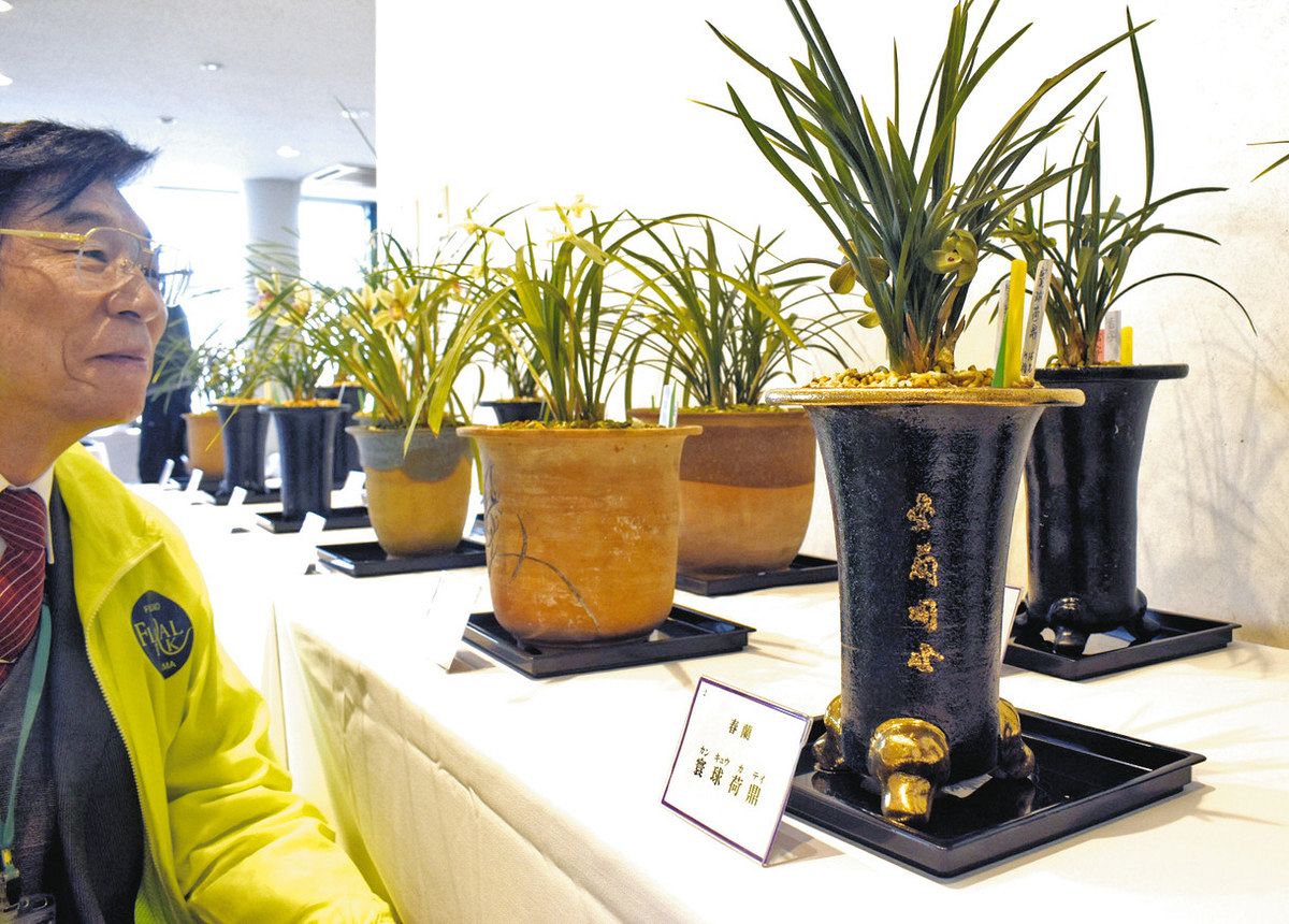 松村謙三ゆかりの春ラン 南砺市園芸植物園で展示：北陸中日新聞Web
