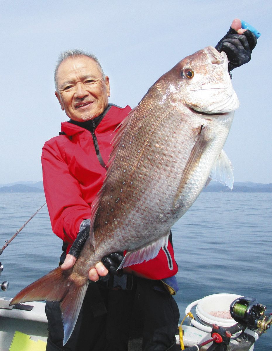 乗っ込みマダイ80センチ 三重・賢島沖：中日スポーツ・東京中日スポーツ