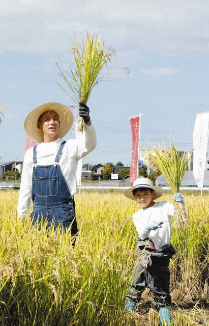 ７歳の勸玄君 海老蔵と初の稲刈り がんばりまーす えいえいおー ゆかりをかけて食べる 中日スポーツ 東京中日スポーツ