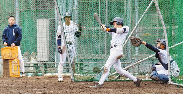 スコープ 投打の力 敦賀気比センバツ制覇へ＞ （上）打線：中日新聞Web