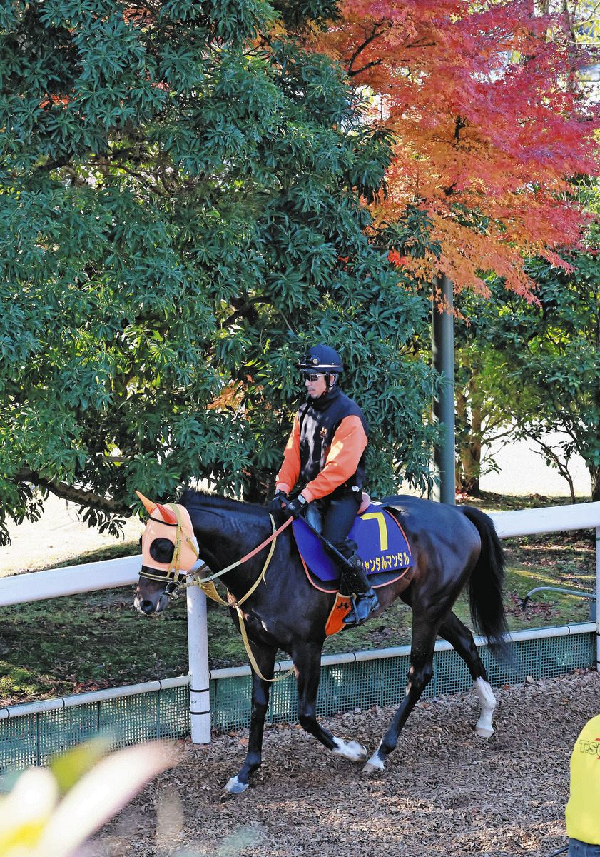 ◆　競馬　JRA　◆　ジャンタルマンタル　◆朝日杯フューチュリティ◆２種類セット 朝日杯FS結果】ジャンタルマンタル完勝！ 無傷の3連勝で2歳