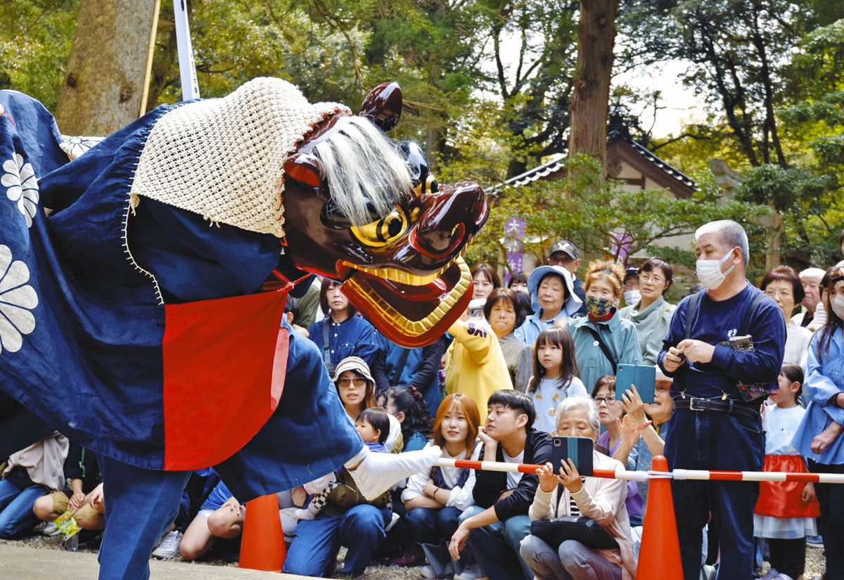 伏木復興へ 邪気にらむ 気多神社で獅子奉納：北陸中日新聞Web