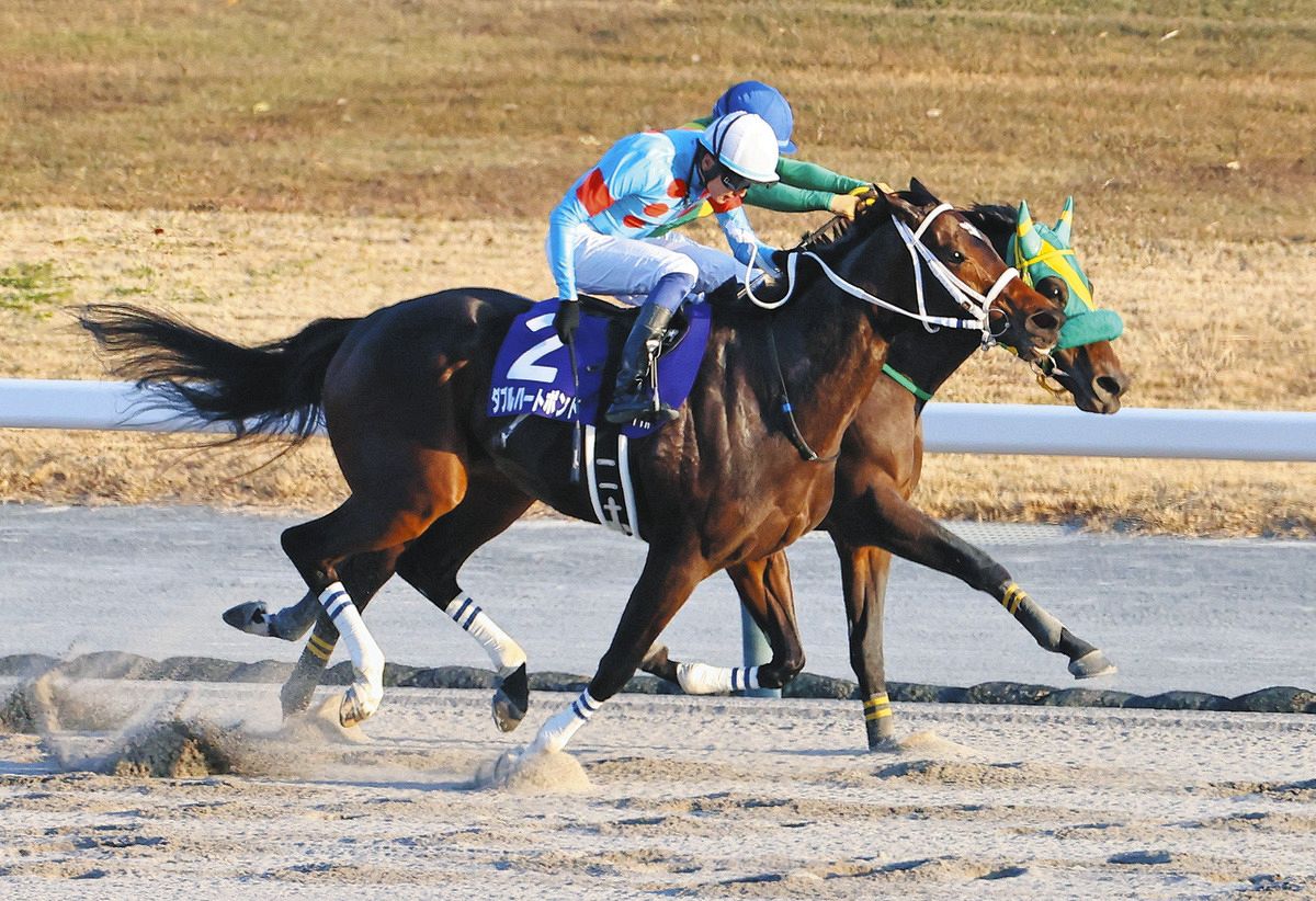 チャンピオンズS】3番人気ダブルハートボンドが直線抜け出しG1初挑戦で