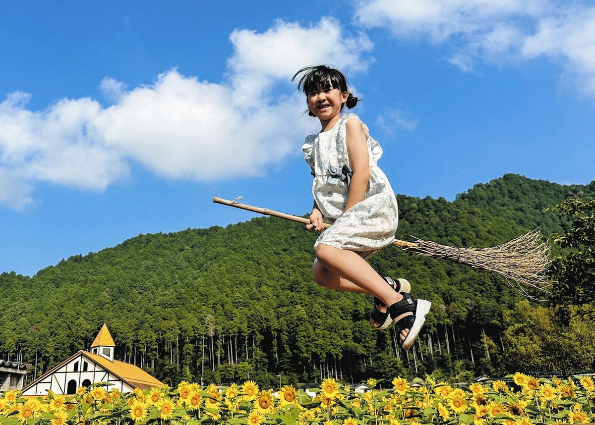 魔女っ子、ヒマワリ畑を飛ぶ 美濃で写真コンテスト：中日新聞Web