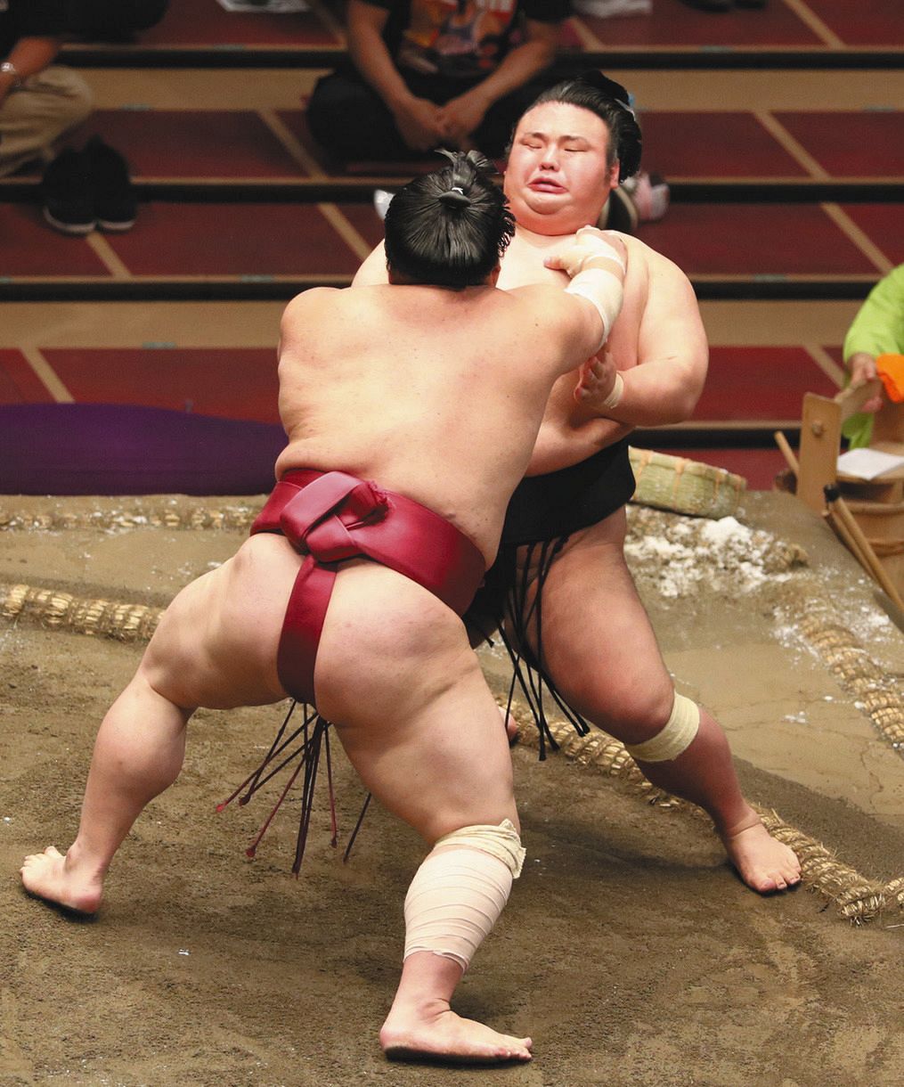 ケケチャマ です。貴景勝 2点 HQVYORZSL5LRTEIDOHENXP37WQ.jpg