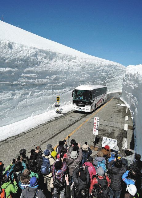 富山 雪の大谷 迫力増す 50周年 アルペンルート全通 北陸中日新聞web