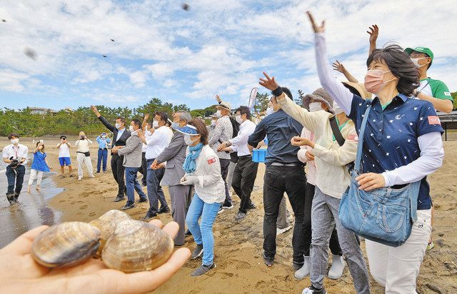 夏本番間近 海開き 浜茶屋は例年通り 坂井市 ：日刊県民福井Web